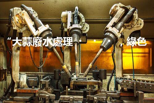 “大蒜廢水處理，綠色環(huán)保新篇章”